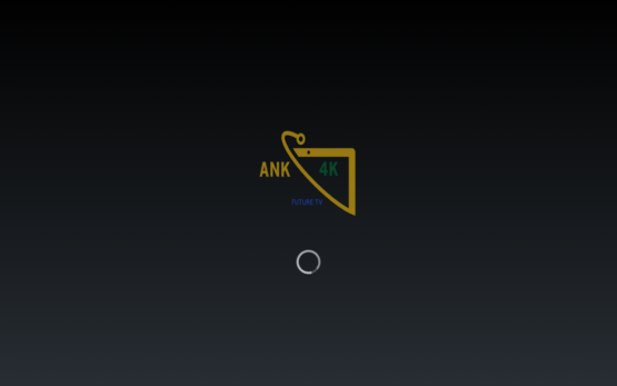 ANK 4K – Image 3